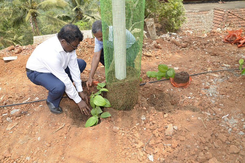 03Apr2014_00040 (143).JPG